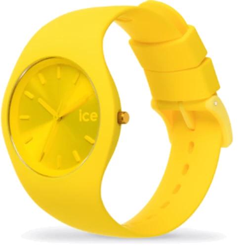 Наручные часы Ice-Watch 017909: Стиль Классический