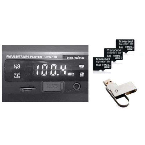 Celsior CSW-180R: Формфактор 1 DIN