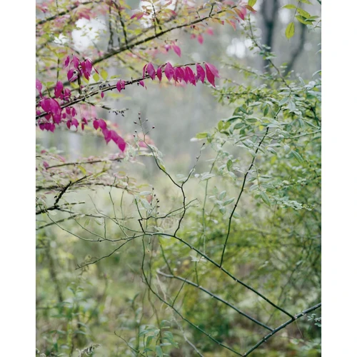 Prix Pictet 08 Hope: Количество страниц 132