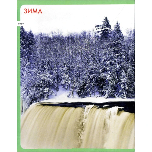 Пори року. Моя перша книжка: Обложка Картон