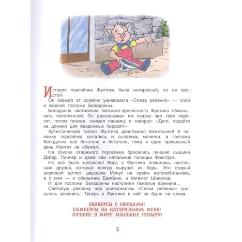 Валерий Шульжик: Фунтик и старушка с усами: Обложка Твердая