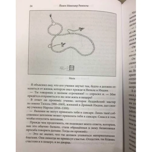 Йонге Мінгьюр Рінпоче: Перетворюючи оману в ясність: Автор Йонге Рінпоче