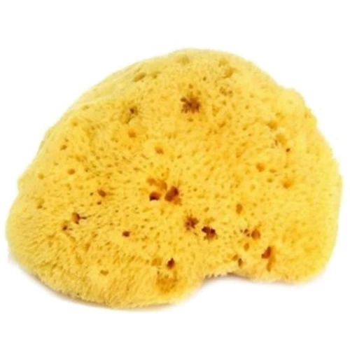 Натуральная губка OK Baby Honeycomb sea sponge 12 см желтый (38471200)