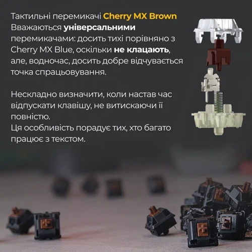 Клавиатура Ducky One 3 Cherry MX Red RGB Black UA (DKON2108ST-RUAPXCLAWSC1): Дополнительно украинская раскладка, подсветка клавиш
