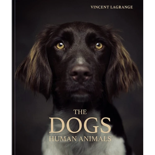Vincent Lagrange: The Dogs. Human Animals