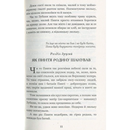 Олександр Гаврош: Пригоди тричі славного розбійника Пинті: Обложка Твердая
