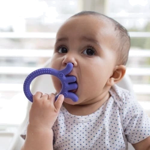 Прорезыватель для зубов Осьминог (TE006-P2)