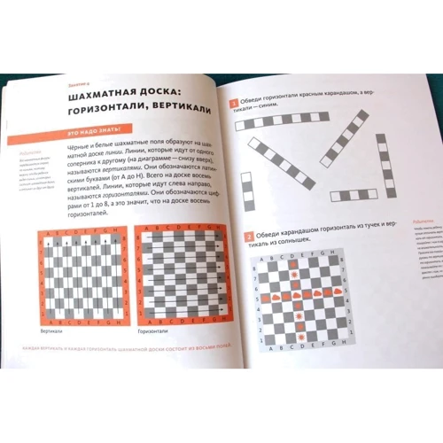 Шахматы с енотом. Рабочая тетрадь № 1: ISBN 978-5-00100-917-7 / 978-5-00117-125-6