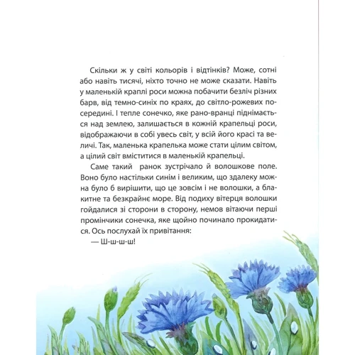 Євгенія Неведомська: Хоробрий Мотя: Кількість сторінок 24