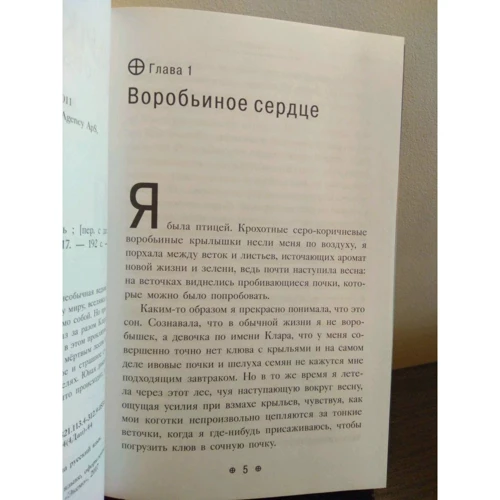 Ліні Кобербёль: Помста Кімерія: Обкладинка Тверда