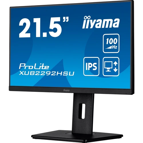 Монитор Iiyama ProLite XUB2292HSU-B6: Формат изображения 16:9