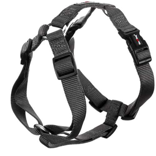 Шлея GimDog HARLEM H нейлон 2.0х50-70 см серая (009632059297)