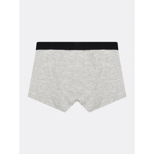 Труси H & M 5895200 110-116 см сірі: Тип Труси