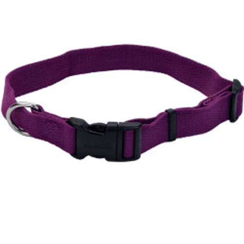 Ошейник Coastal New Earth Soy Dog Collar для собак L 2.5 х 46-66 см фиолетовый (56721)