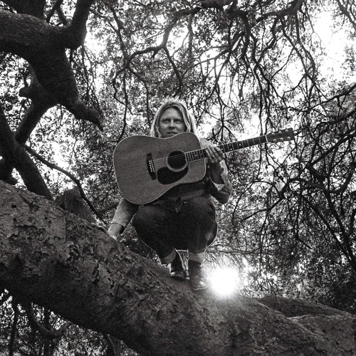 Вінілова платівка Ty Segall - Hello, Hi [LP] (DC830)