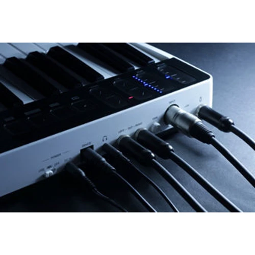 IK MULTIMEDIA iRig Keys I/O 25: Размер клавиш Полноразмерные