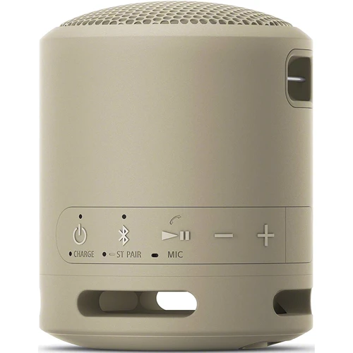 Акустика Sony SRS-XB13 Taupe (SRSXB13C.RU2): Тип портативная
