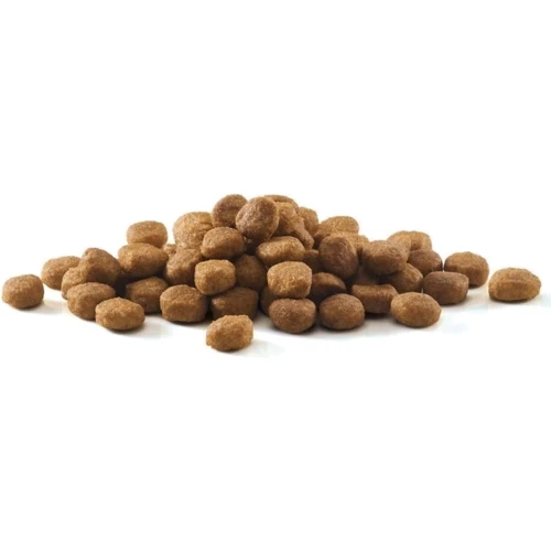 Сухой корм Purina One Indoor Purina ONE Indoor для взрослых кошек постоянно находящихся в помещении с индейкой 3х200 г (7613034604996): Класс Супер премиум