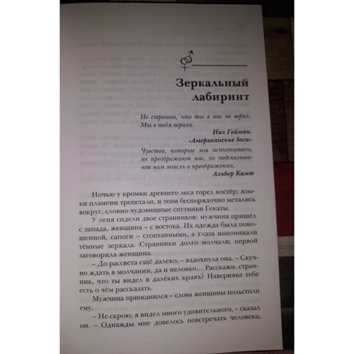 Александр Матюхин, Софья Ролдугина: Зеркальный лабиринт: Производитель Рипол Классик