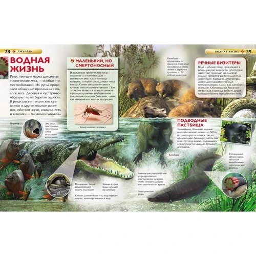 Джунглі. Дитяча енциклопедія: Виробник Росмен-Прес