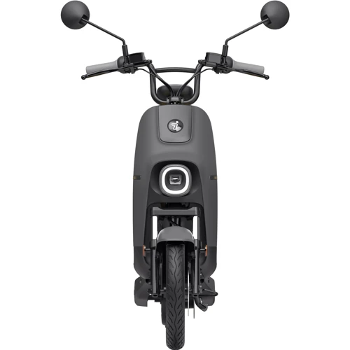 Электроскутер Segway-Ninebot B110S Yellow/Dark Grey: Допустимая нагрузка, кг 132