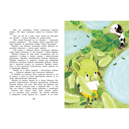 Агнеш Балинт: Большая книга весёлых историй про Изюмку и гнома: Автор Агнеш Балинт