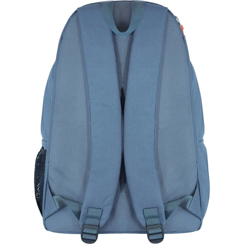 Чоловічий рюкзак Bagland Stylish сірий (0051866): Тип Рюкзаки