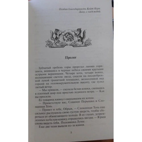 Эрин Хантер: Коты-воители. Главная надежда: Обложка Твердая