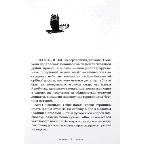 Марія Матіос: Черевички Божої матері: Жанр Современная проза