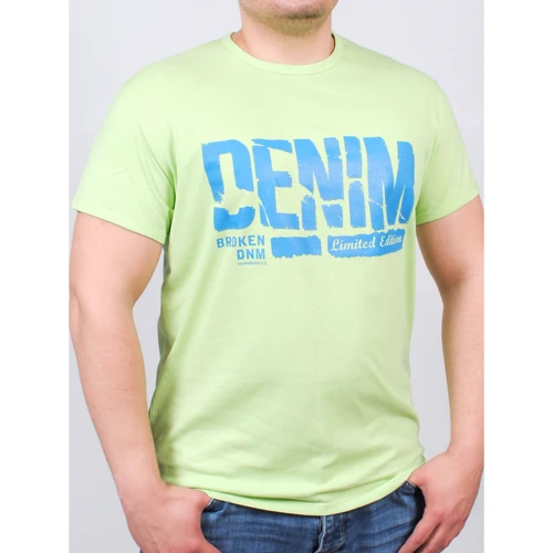Футболка PFProject BIGDENIMBROK 3XL салатова з принтом: Вид футболки