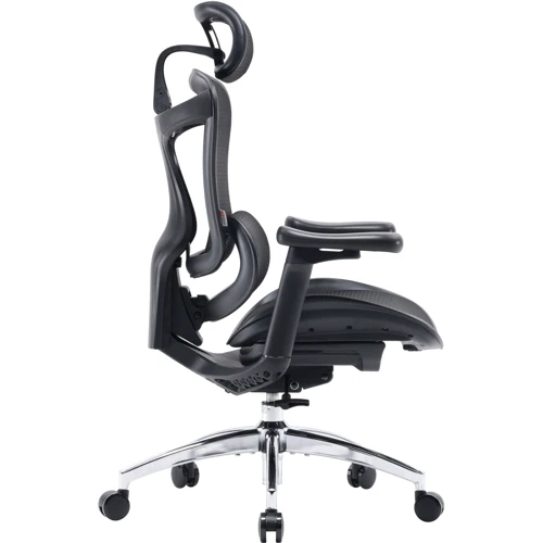 Офисное кресло Sihoo DORO C300L Mesh Black (DORO-C300L-A3-101)
