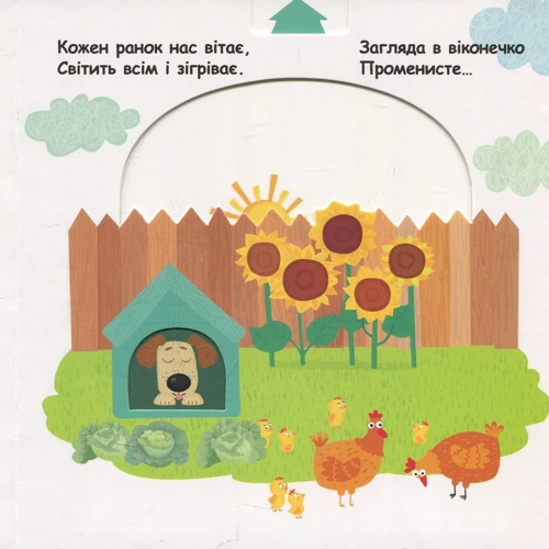 Василь Федієнко. З ранку до ночі: Обложка Картон