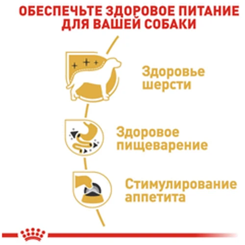 Вологий корм Royal Canin Chihuahua Adult для собак породи Чихуахуа 85 г (2041001): Властивості Основное питание, Забота о коже и шерсти