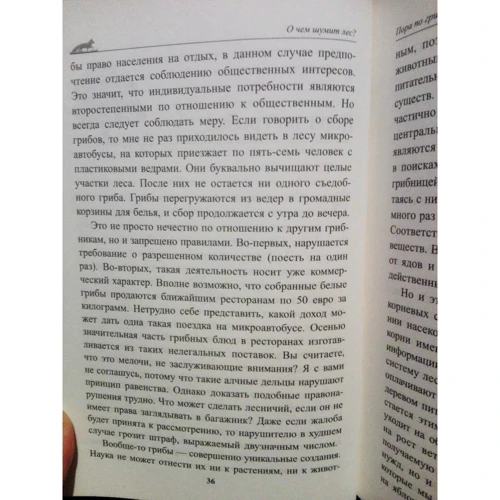 Петер Воллебен: О чём шумит лес?: Производитель Попурри