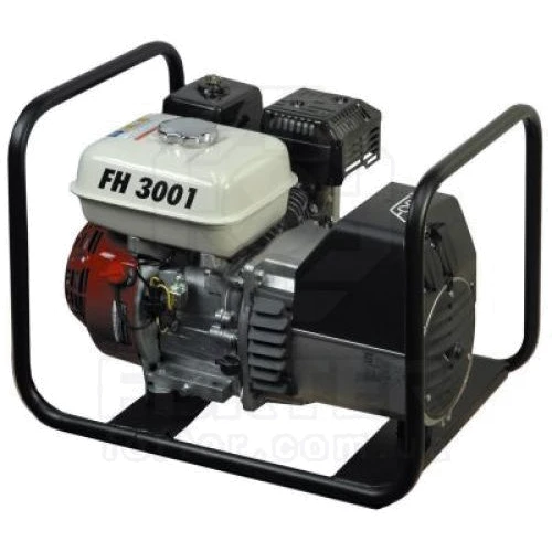 Генератор FOGO FH 3001