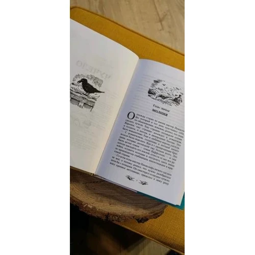 Филип Пулман: Чучело и его слуга. Я был крысой: ISBN 978-5-17-115758-6