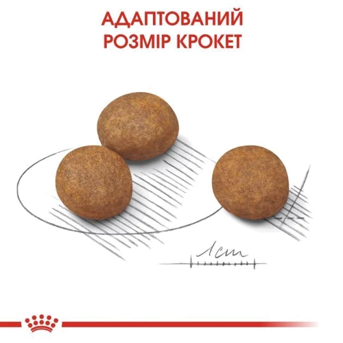 Сухой корм для щенков Royal Canin Maxi Puppy крупных пород 4 кг (30060400): Возраст Щенки