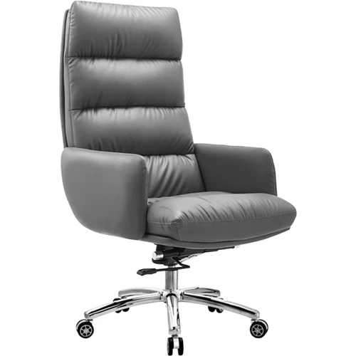 

Gt Racer Gray (B-8995)