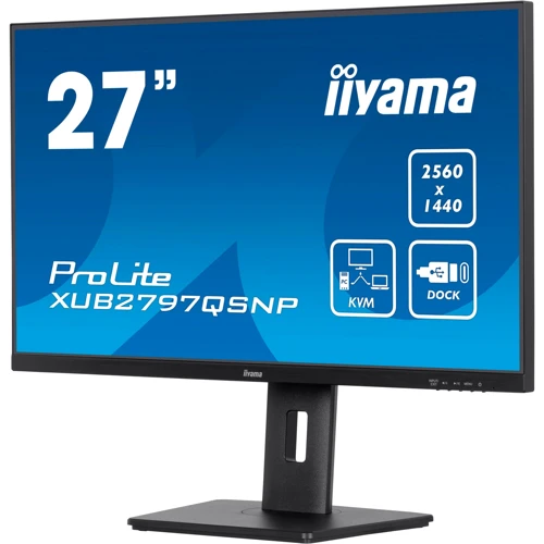 Монитор iiyama XUB2797QSNP-B1: Формат изображения 16:9