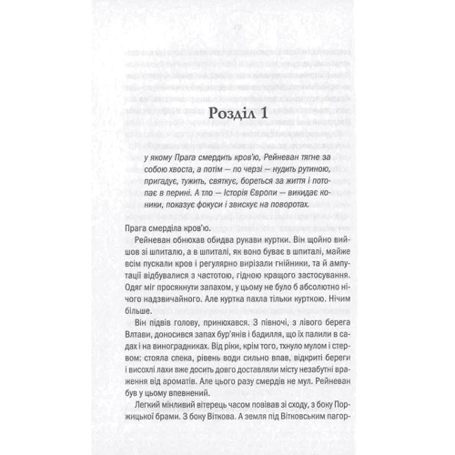 Анджей Сапковській: Божі воїні: Обкладинка Тверда