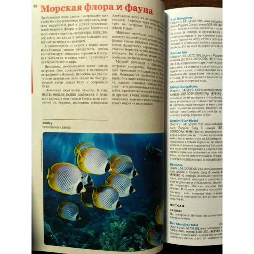 Балі і Ломбок. Путівник Lonely Planet: Обкладинка Мягкая
