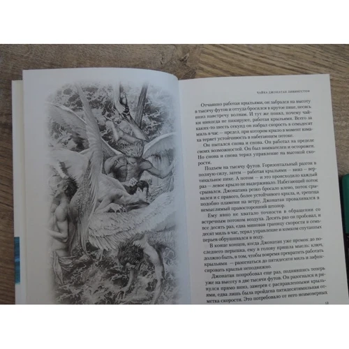 Чайка. Иллюзии. Карманный справочник мессии: Автор Ричард Бах
