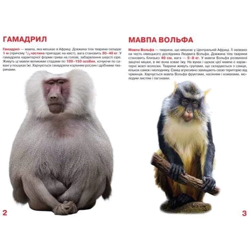 Велика книжка. Мавпи: Производитель БАО