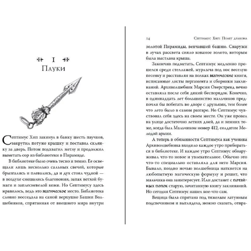 Енджі Сейдж: Септімус Хіп. Книга 2. Політ дракона: Обкладинка Тверда