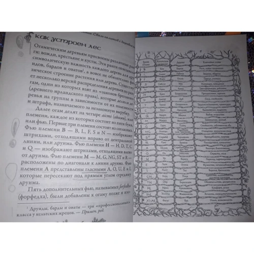 Голоси дерев. Кельтський оракул (брошура + 25 карт): Жанр Ворожіння і гороскопи