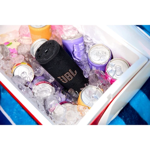 Акустика JBL Grip Black (JBLGRIPBLK) UA