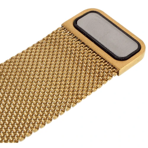 Аксессуар для Watch COTEetCI W6 Magnet Band Gold (WH5202-GD) for Apple Watch 38/40/41mm: Тип аксессуара ремешок