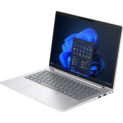 Ноутбук HP ProBook 4 G1a 14 Pike Silver (B9ZG6ET) UA