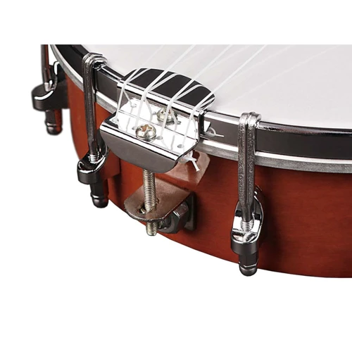 Банджо Richwood RMBU-404