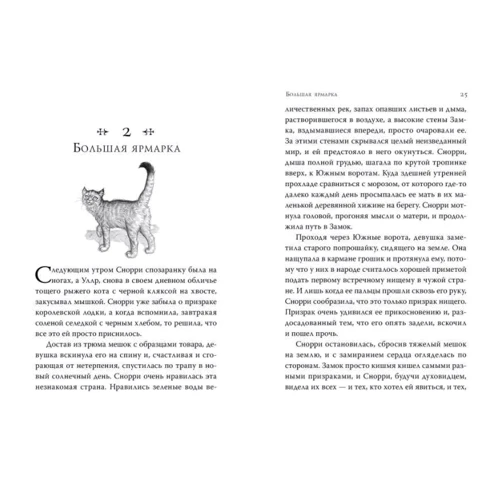 Энджи Сэйдж: Септимус Хип. Книга 3. Эликсир жизни: ISBN 978-5-389-18538-8